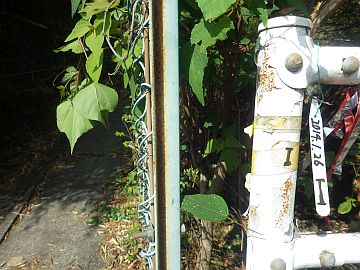 20160820-085912.jpg 20160820-085912.jpg