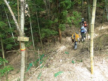20160820-092221.jpg 20160820-092221.jpg