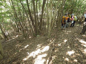 20160820-104730.jpg 20160820-104730.jpg