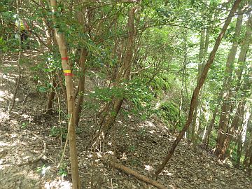 20160820-105304.jpg 20160820-105304.jpg