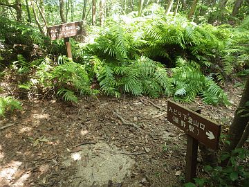 20160820-105908.jpg 20160820-105908.jpg