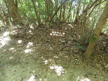 20160820-113737.jpg 20160820-113737.jpg