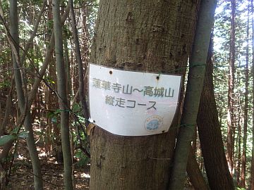 20160820-123049.jpg 20160820-123049.jpg