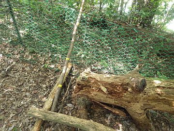 20160820-131447.jpg 20160820-131447.jpg