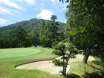 20160820-132049.jpg 20160820-132049.jpg