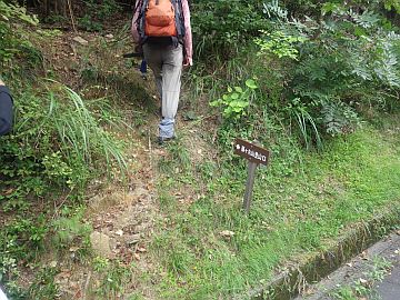 20160820-133912.jpg 20160820-133912.jpg