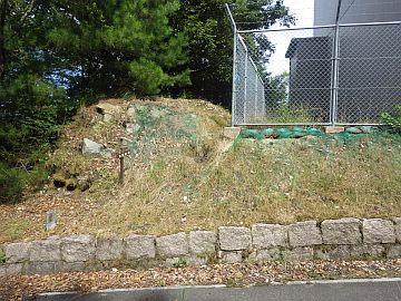 20160820-143726.jpg 20160820-143726.jpg