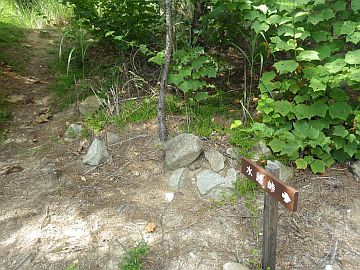 20160820-152706.jpg 20160820-152706.jpg