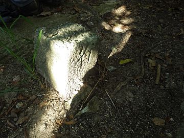 20160820-154746.jpg 20160820-154746.jpg