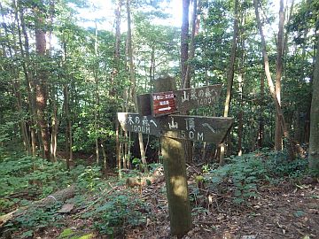 20160820-155402.jpg 20160820-155402.jpg