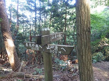 20160820-160432.jpg 20160820-160432.jpg