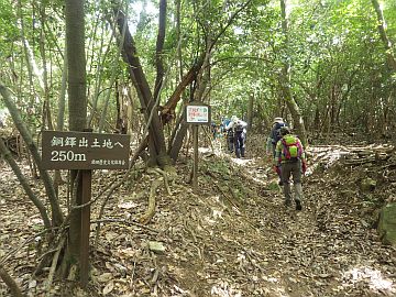 20160827-095416.jpg 20160827-095416.jpg
