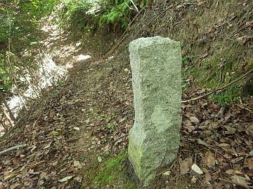 20160827-104539.jpg 20160827-104539.jpg