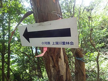 20160827-123645.jpg 20160827-123645.jpg