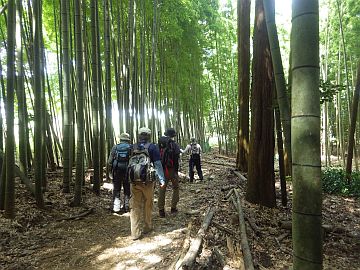 20160827-133302.jpg 20160827-133302.jpg