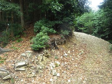 標高610m台 標高610m台