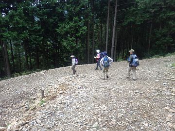 林道左折点 林道左折点