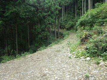 標高560m台 標高560m台
