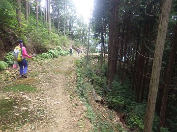 標高550m台 標高550m台