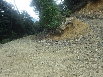 林道右折点 林道右折点