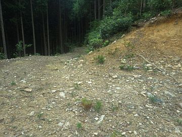 林道最北端部 林道最北端部