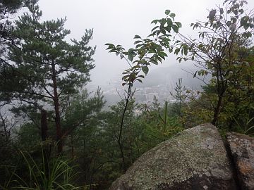 20161001-093102.jpg 20161001-093102.jpg