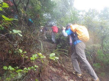 20161001-094807.jpg 20161001-094807.jpg