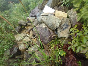 20161001-103021.jpg 20161001-103021.jpg