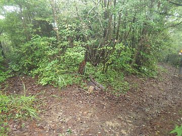 20161001-104240.jpg 20161001-104240.jpg