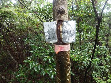 20161001-104249.jpg 20161001-104249.jpg