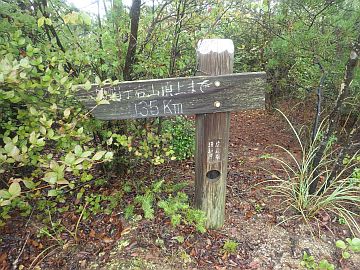 20161001-104921.jpg 20161001-104921.jpg