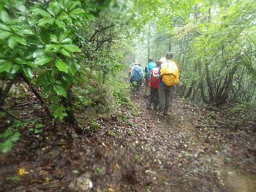 20161001-110258.jpg 20161001-110258.jpg