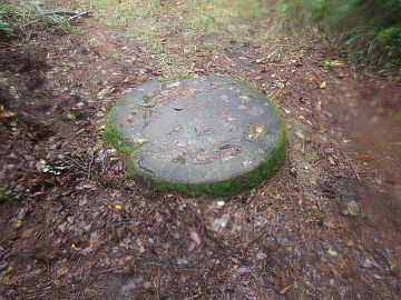 20161001-110855.jpg 20161001-110855.jpg