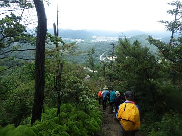20161001-112053.jpg 20161001-112053.jpg