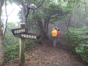 20161001-112934.jpg 20161001-112934.jpg