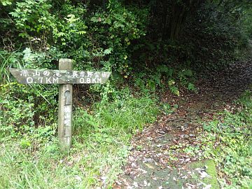 20161001-124332.jpg 20161001-124332.jpg