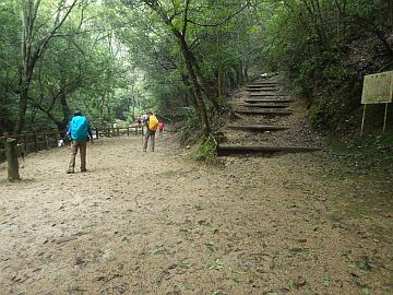 20161001-125334.jpg 20161001-125334.jpg