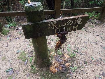 20161001-125349.jpg 20161001-125349.jpg