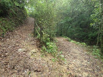 20161001-130804.jpg 20161001-130804.jpg