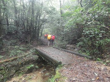20161001-131832.jpg 20161001-131832.jpg
