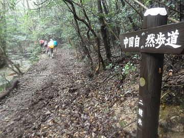 20161001-132355.jpg 20161001-132355.jpg