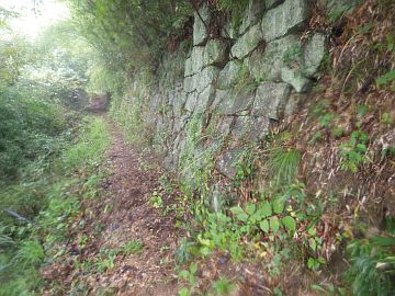 20161001-133318.jpg 20161001-133318.jpg