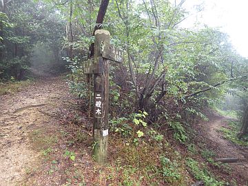 20161001-134044.jpg 20161001-134044.jpg