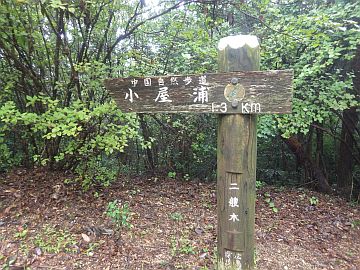 20161001-135027.jpg 20161001-135027.jpg