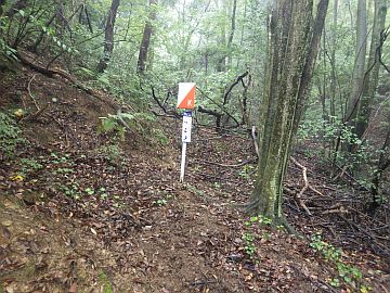 20161001-140525.jpg 20161001-140525.jpg