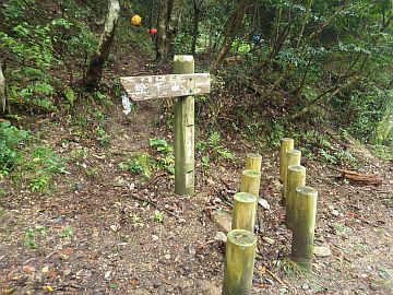 20161001-141815.jpg 20161001-141815.jpg