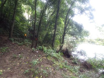 20161001-141919.jpg 20161001-141919.jpg