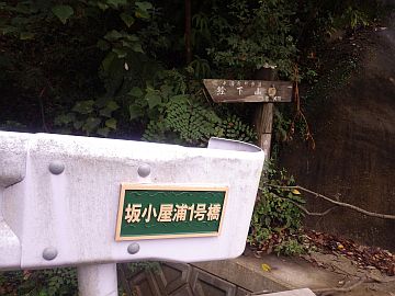 20161001-142129.jpg 20161001-142129.jpg