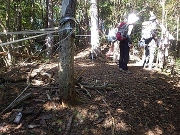 503m峰の南側 503m峰の南側