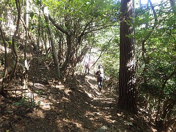 600m台コブの南面を巻く 600m台コブの南面を巻く